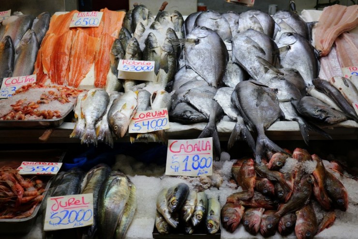 2319 Santiago Chile fish market